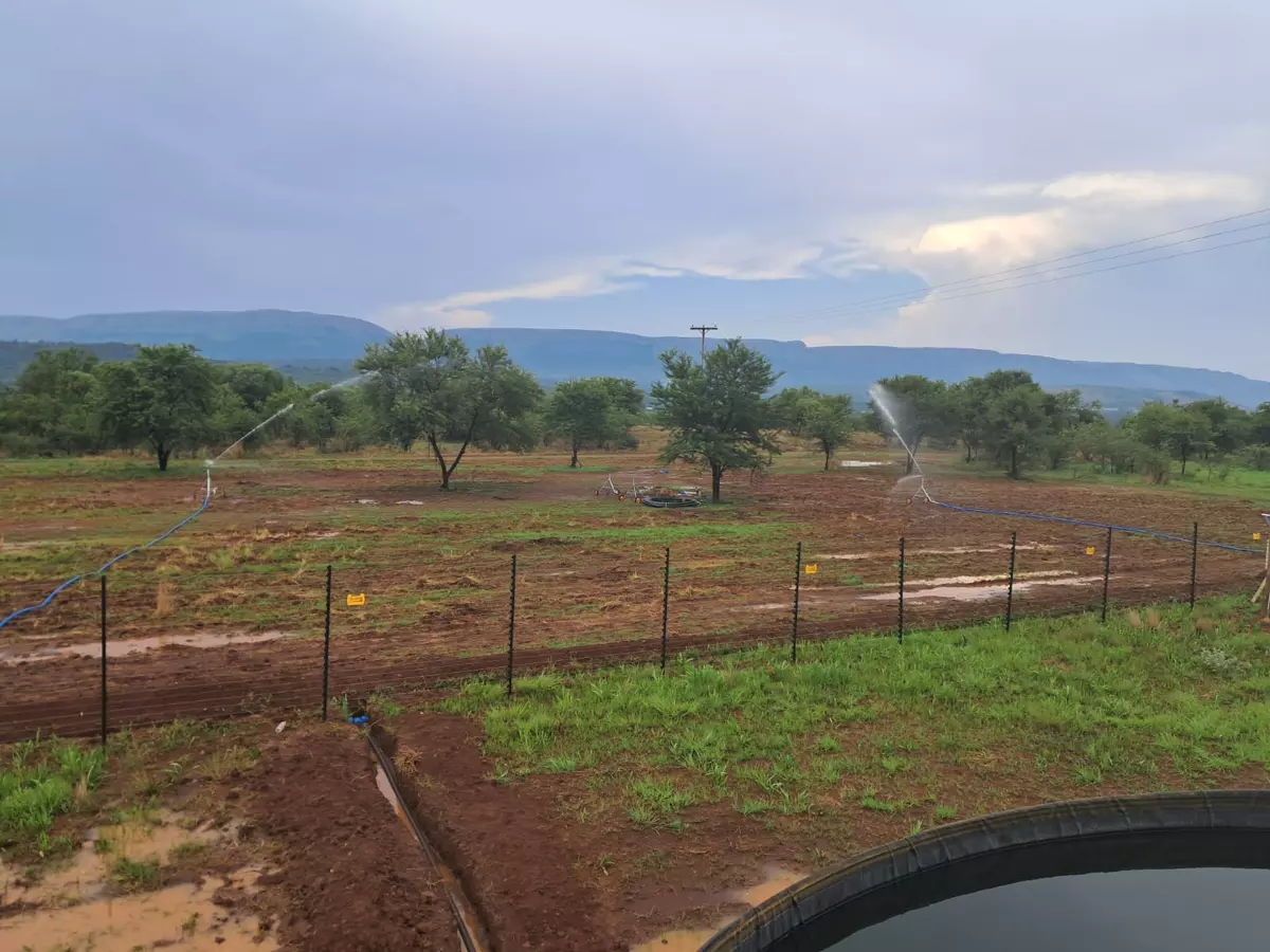Agricultural field with irrigation sprinklers